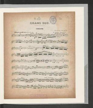 Violino.