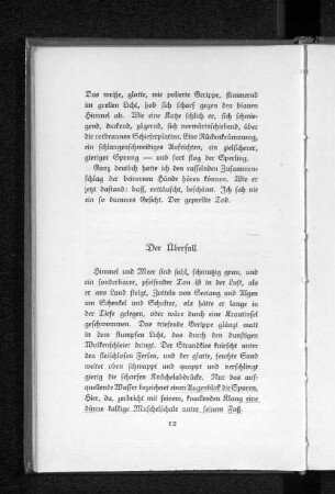 Der Überfall