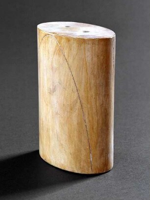 Kubische Ellipse auf einem elliptischen Zylinder
