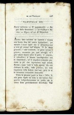 Capitolo XVI.