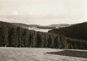 Rehefeld-Zaunhaus. Tal der Wilden Weißeritz. Blick talaufwärts über die Grenze nach Forsthaus Kalkofen (im Mittelgrund links)