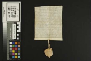 Leiselheim: Donatio Lupoldi Episcopi Wormat. qua Majon Ecclesie Wormat. donat viginti quator Maltra annone super Molam in Leiselheim annui census