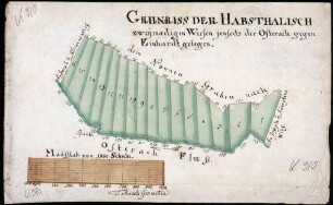 Karte der "zweimadigen" [mit zweimaligem Schnitt], jenseits der Ostrach und gegen Einhart gelegenen Habsthalischen Wiese