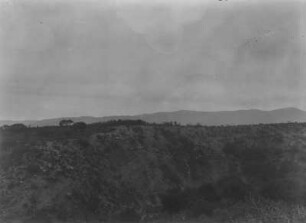 Bolivianisches Hochland : Blick auf einen Berghang im bolivianischen Hochwald. Im Hintergrund Gebirgszüge.