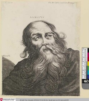 Socrates