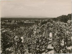 Gundelfingen
