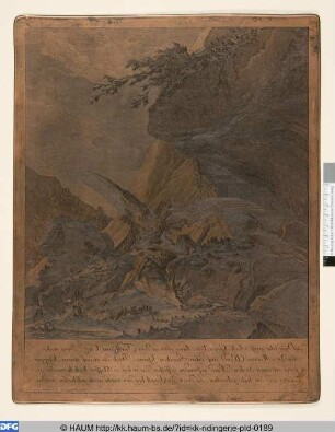 Jochgeier und Gemse