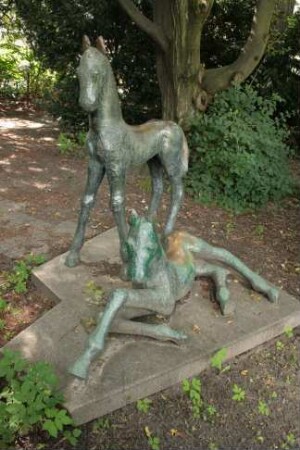 Fohlengruppe