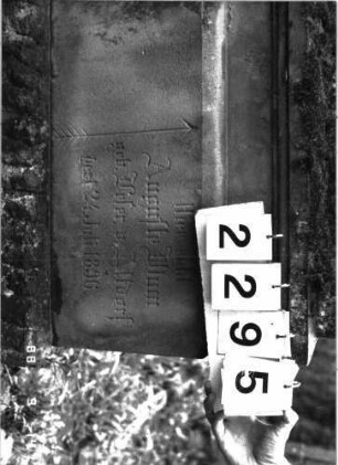 Grabstein 2295 (Index: 100097425) Maße HxBxT: 210x67x22 cm Symbolik: drei Rosetten Besonderheit: Doppelgrab für Eheleute: Grabstein 2295 (Detailaufnahme)