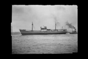 Congo (1955), Frachtschiff, Detjen & Co., Hamburg, Bau-Nr. 482