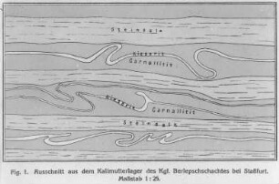 Kalimutterlager des Berlepschschachtes bei Staßfurt, Ausschnitt (Everding) : Geologie | Geologie der Salzlagerstätten
