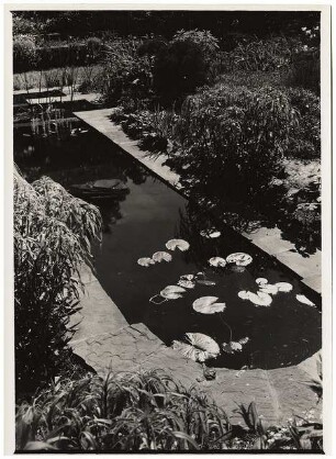 Garten Szafransky: Wasserbecken