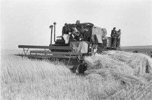 Radeberg, Ankunft von sowjetischen Mähdreschern, Einsatz der Mähdrescher auf dem Volksgut (VG) Seifersdorf, Juli 1952