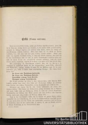 Erbse (Pisum sativum).