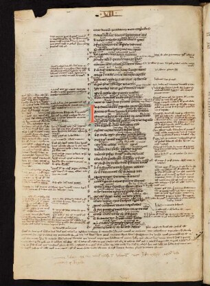 Lib. VII
