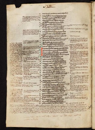 Lib. VII