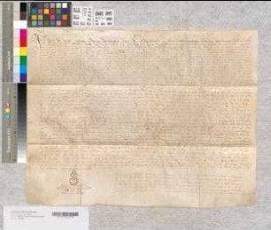 Notariatsinstrument betreffend die Eigenbehörigen des Kapitels von St. Johann und Dionys Bartold zu Bexten wegen Weinkaufs.