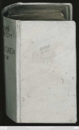 [Divitiarum Evangelicarum Festivalium Disquisitio VIII.]