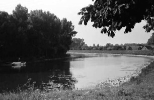 Plittersdorf: Rheinwald und Deich mit Dächern von Plittersdorf