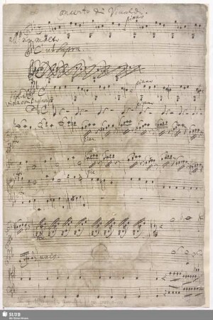 Concertos - Mus.2389-O-122 : vl, strings, bc - op. 11,5 - c; RV 202
