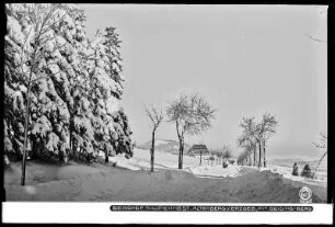 Altenberg im Erzgebirge, Berghof Raupennest mit Schnee, mit Geisingberg