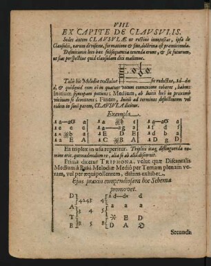 VIII. Ex Capite De Clausulis.