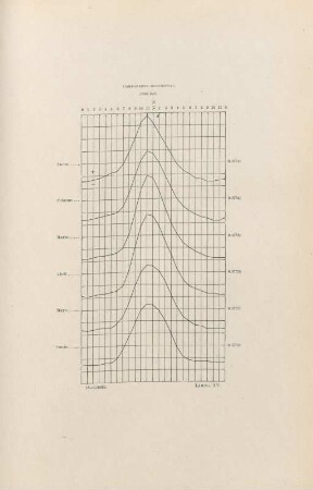 Lámina XV. Componente horizontal. 1890-1897