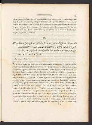 IX. Plumbum spatosum, dilute flavens, lamellosum, lamellis quadrilateris, vel etiam trilateris, ... Tab. III. Fig. 6