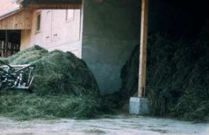 Fotografie: Heuernte, Ein- und Auslagerungstechnik, Frontlader