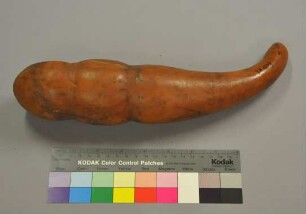 Rassel aus Kalebassenbaumfrucht
