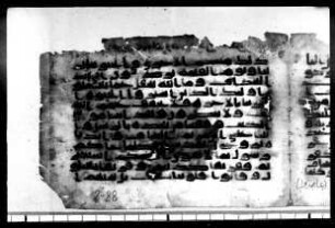 al- Qurʾān [DAM 12-15.1]