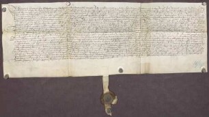 Gültverschreibung des Hans Sterrer, wohnhaft zu Öschelbronn, über 25 Pfund Heller Hauptgut, für das er jährlich einen Pfund und fünd Schilling Heller an das Predigerkloster zu Pforzheim zahlt.