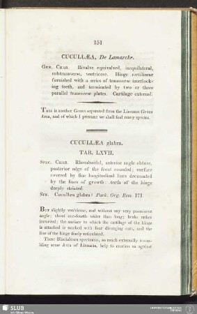 Cucullaea glabra. Tab. LXVII