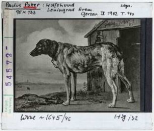 Paulus Potter: Wolfshund. Leningrad, Eremitage