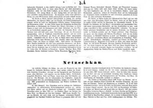 Netzschkau