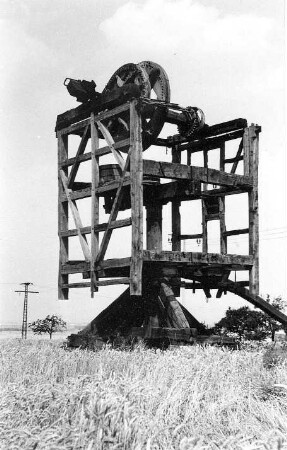 Hecklingen-Groß Börnecke. Bockmühle, Skelett