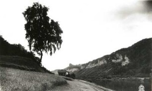 Sächsische Schweiz. Elbtal bei Schmilka-Hirschmühle. Blick vom linken Elbufer auf Gute-Bier-Wände und Schrammsteine