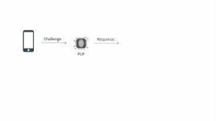 SFB CROSSING - Our research on Hardware-Entangled Cryptography