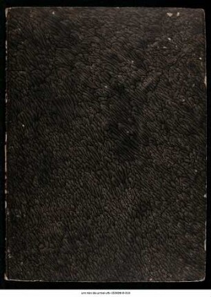 Guilelmus Saphonensis