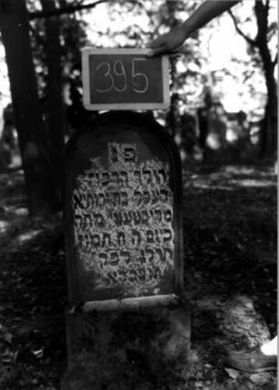 Grabstein 395 (Index: 100111831) Material: Sandstein Zustand: leicht verwittert Maße HxBxT: 88x40x12 cm Beschreibung: Stele, Sockel, Rundbogenabschluß, Schriftfeld eingetieft Besonderheit: Kindergrab: Grabstein 395