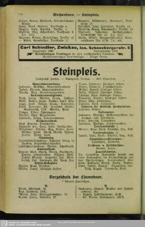 Steinpleis