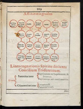 Affinitatis gradus