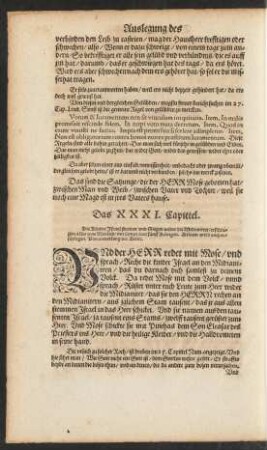 Das XXXI. Capittel.