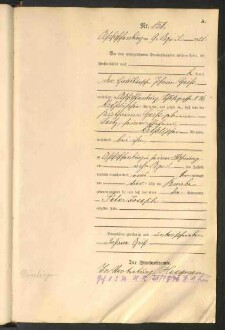 Standesamtsbuch der Stadt Aschaffenburg: Geburten 365/1900 - 184/1901