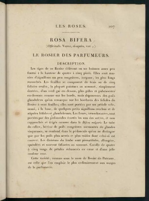 107-108, Rosa Bifera (Officinalis.) Le Rosier des Parfumeurs.