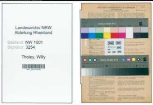 Entnazifizierung Willy Tholey, geb. 02.09.1907 (Baecker)