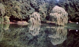 Kurpark: Salzteich