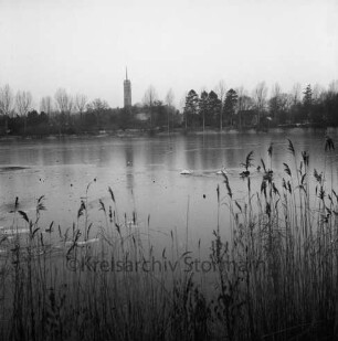 Groten Diek: Eisdecke: vorn Schilf: hinten rechts Wassergeflügel: am gegenüberliegenden Ufer evangelische Auferstehungskirche mit Turm, Häuser und Bäume