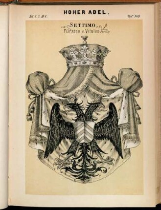 Taf. 349. Settimo, Fürsten v. Vitalia