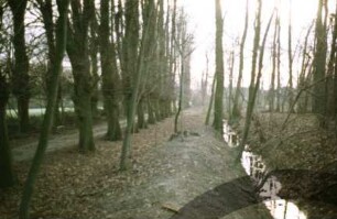 Jersbeker Park: Lindenallee: schmaler Wassergraben